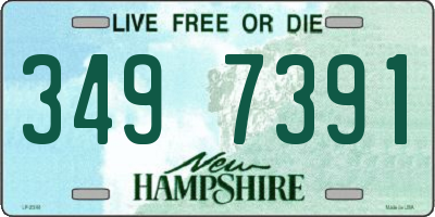 NH license plate 3497391