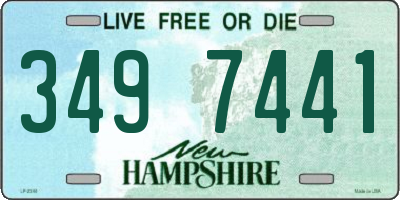 NH license plate 3497441