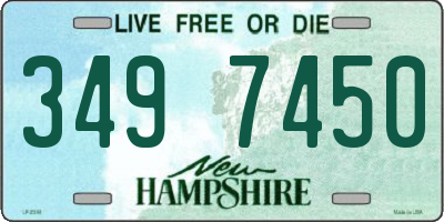 NH license plate 3497450