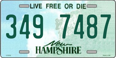 NH license plate 3497487