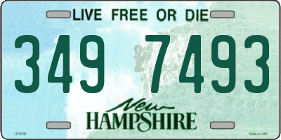 NH license plate 3497493