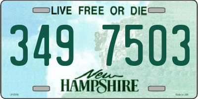 NH license plate 3497503