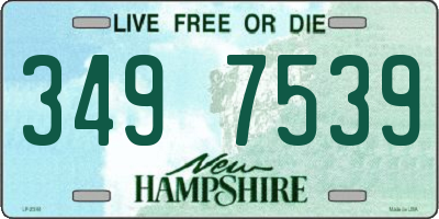 NH license plate 3497539
