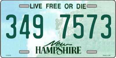 NH license plate 3497573