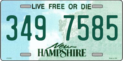 NH license plate 3497585