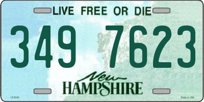 NH license plate 3497623