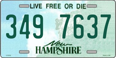 NH license plate 3497637