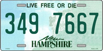 NH license plate 3497667
