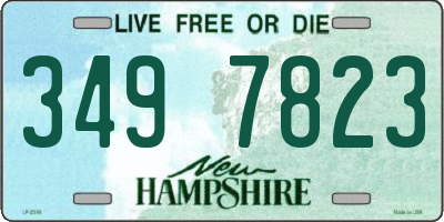 NH license plate 3497823