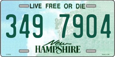 NH license plate 3497904