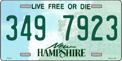 NH license plate 3497923