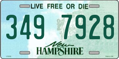 NH license plate 3497928