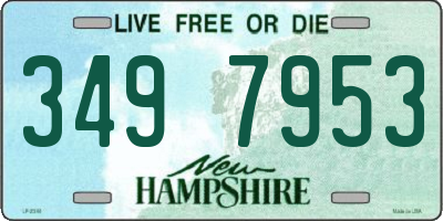 NH license plate 3497953