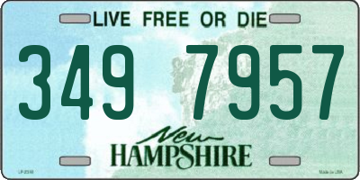 NH license plate 3497957