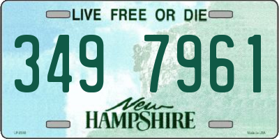 NH license plate 3497961