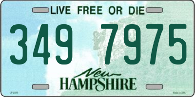 NH license plate 3497975