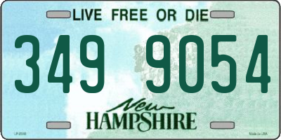 NH license plate 3499054