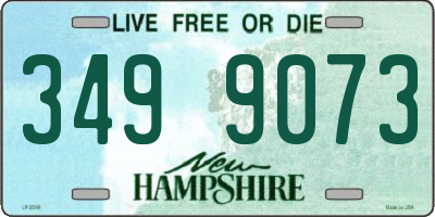 NH license plate 3499073