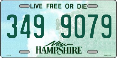 NH license plate 3499079