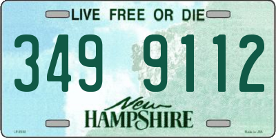NH license plate 3499112
