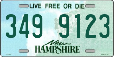 NH license plate 3499123