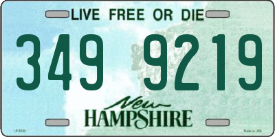 NH license plate 3499219