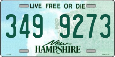 NH license plate 3499273