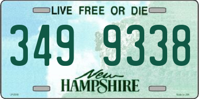 NH license plate 3499338