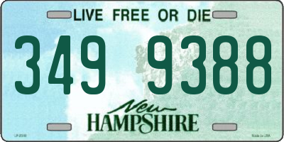 NH license plate 3499388