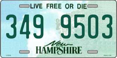 NH license plate 3499503