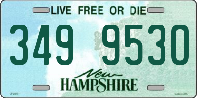 NH license plate 3499530