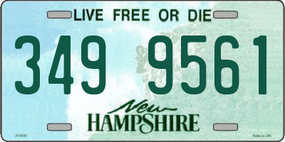 NH license plate 3499561