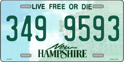 NH license plate 3499593