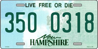 NH license plate 3500318