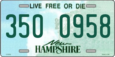 NH license plate 3500958