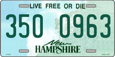 NH license plate 3500963