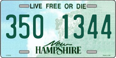 NH license plate 3501344