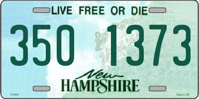 NH license plate 3501373
