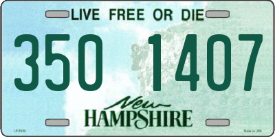 NH license plate 3501407