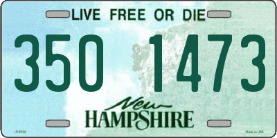 NH license plate 3501473
