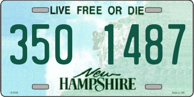 NH license plate 3501487