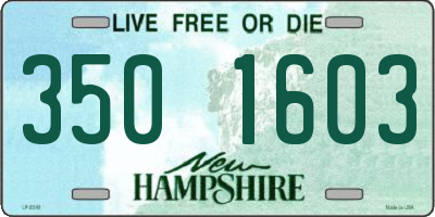 NH license plate 3501603
