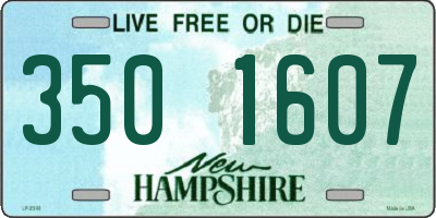 NH license plate 3501607