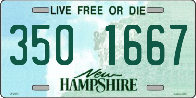 NH license plate 3501667