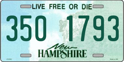 NH license plate 3501793