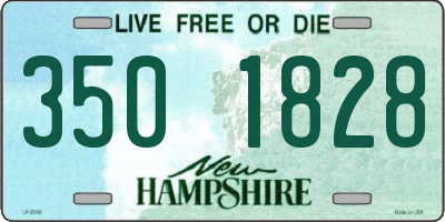 NH license plate 3501828