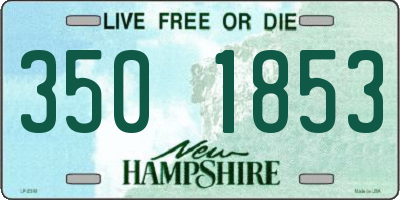 NH license plate 3501853