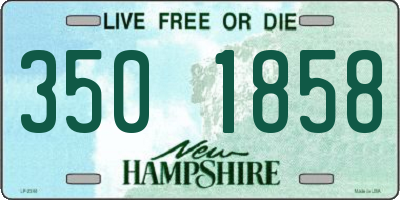 NH license plate 3501858