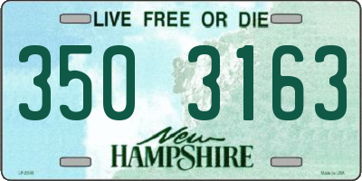 NH license plate 3503163