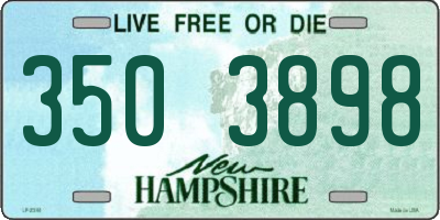 NH license plate 3503898